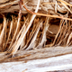 Image for article titled Wood Shooting Challenge